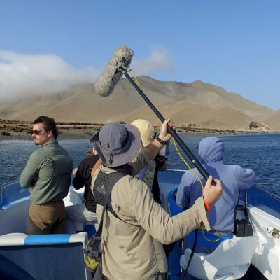 Timothy Alberino filming seals on the island of San Gallán, Peru.